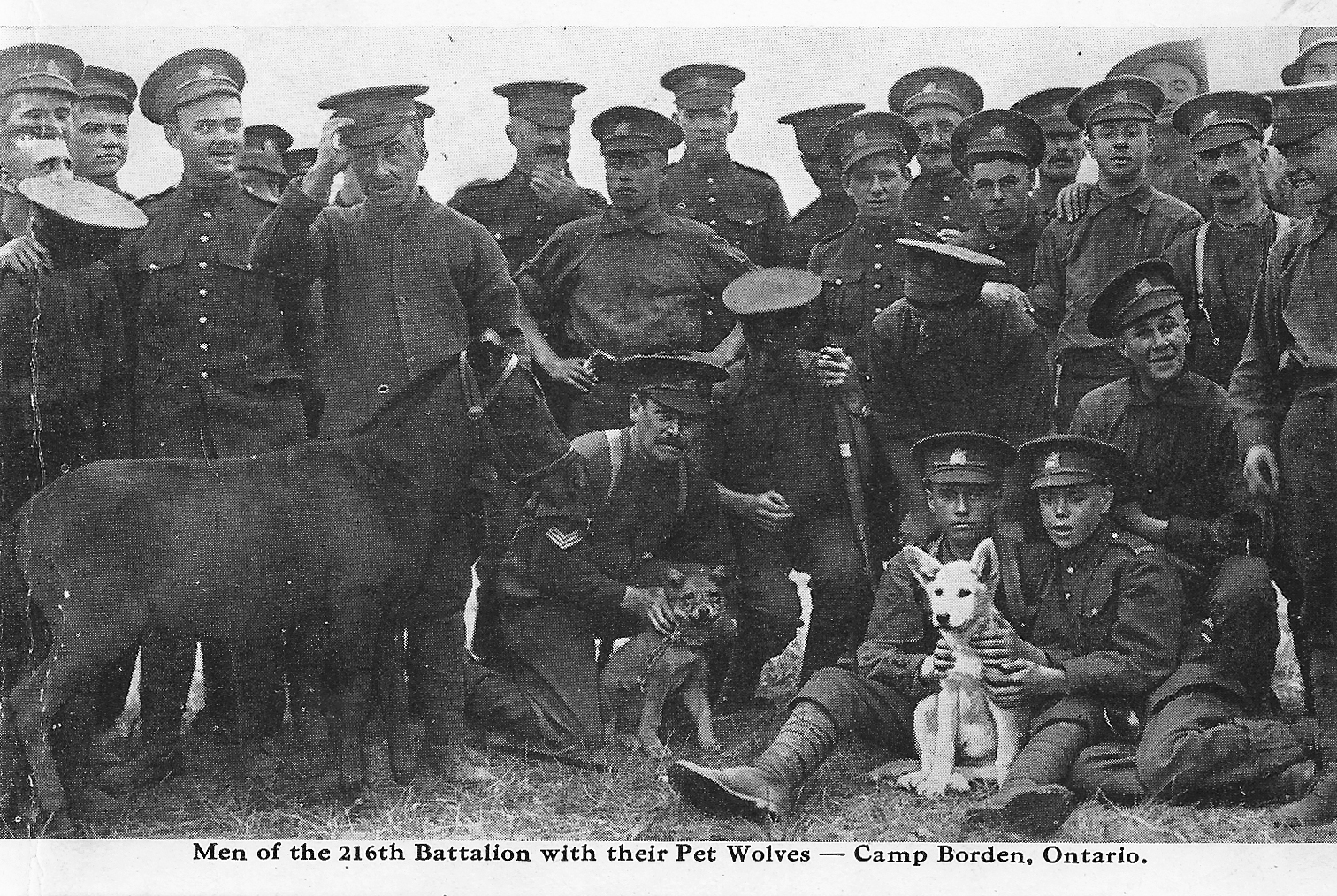 216th-battalion-cef-wartime-canada